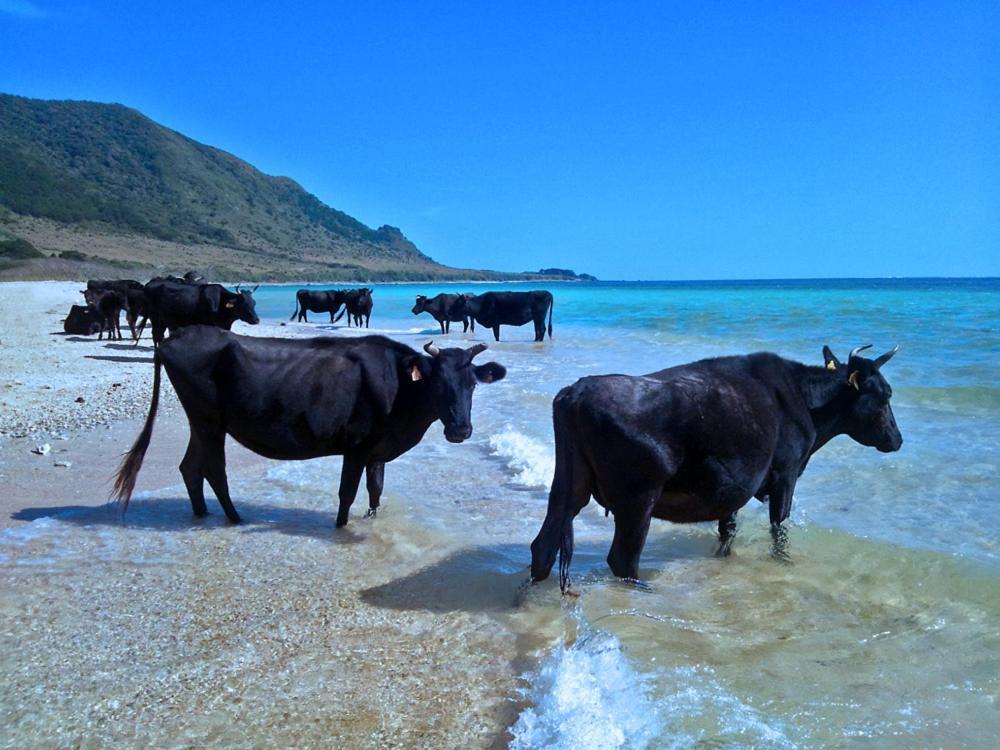 435 Hotell Ishigaki  Eksteriør bilde